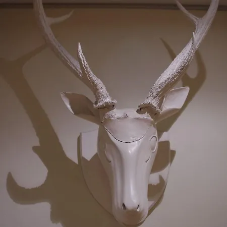 Hotel Saint Sarlat-la-Canéda