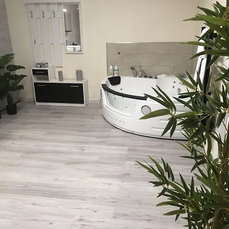 ホテル オテル サン アルベール 3*