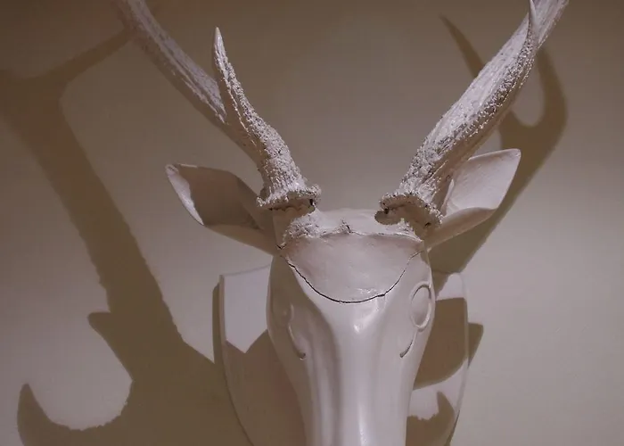 Отель Saint Сарла-ла-Канеда